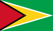 Guyana flag